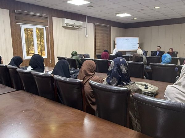 تقنيات معالجة البيانات المفقودة والضوضاء في مشاريع التنقيب2